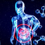 Gut Health and Digestion: The Link Between Your Diet and Your Health 3 guts